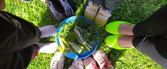 Jestem eko!!! - podsumowanie z warsztatów ekologicznych.