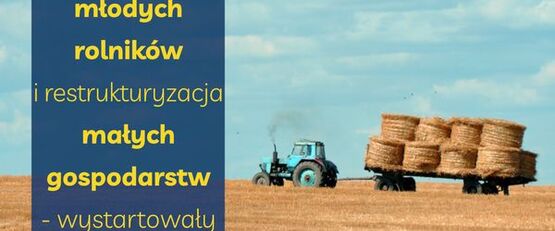 Premie dla młodych rolników i restrukturyzacja małych gospodarstw – wystartowały nabory
