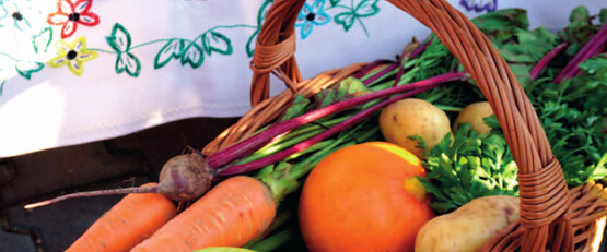 Nowy numer Magazynu Korony Sądeckiej - zapraszamy do lektury