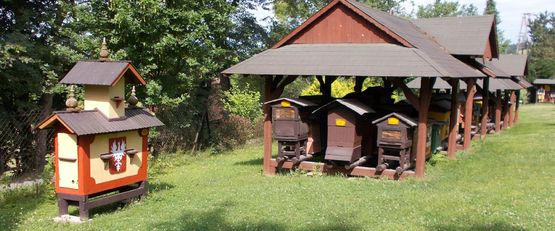 Zajęcia z fotografii zakończone