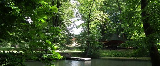 Zajęcia z fotografii zakończone